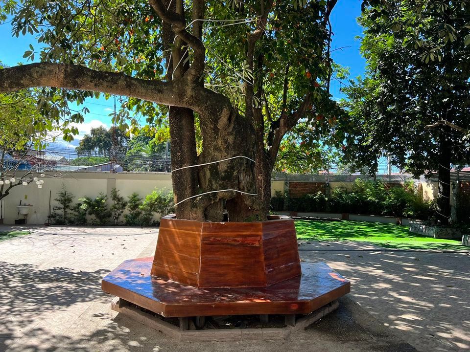 FREE TRIAL SWIMMING LESSON, Nightingale St. cor. Skylark St., Zabarte