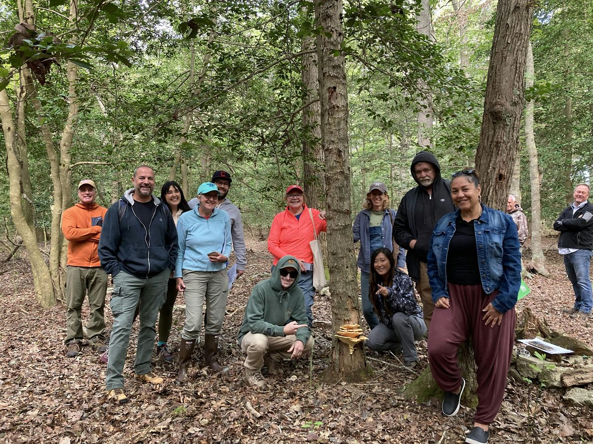 Mushroom 101 and Foraging Class, 8 November | Event in Salisbury | AllEvents