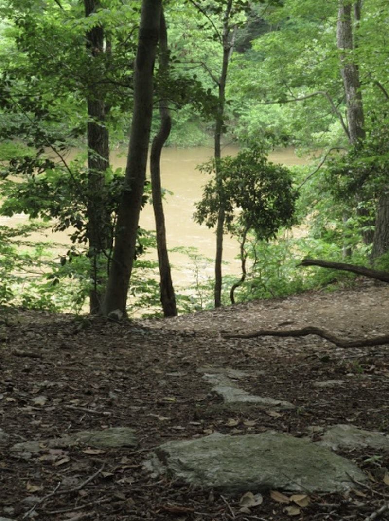 Wild Earth Gathering Sunday, October 5th, 3 PM, Carderock | Event in Potomac | AllEvents