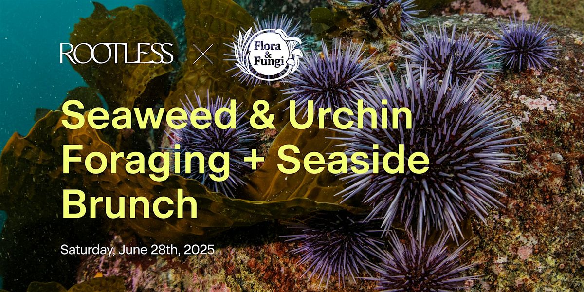 Rootless x Flora & Fungi present Seaweed & Urchin Foraging w/Seaside Brunch, 28 June | Event in Bodega Bay