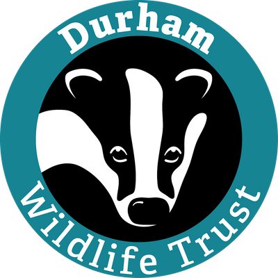 Durham Wildlife Trust logo