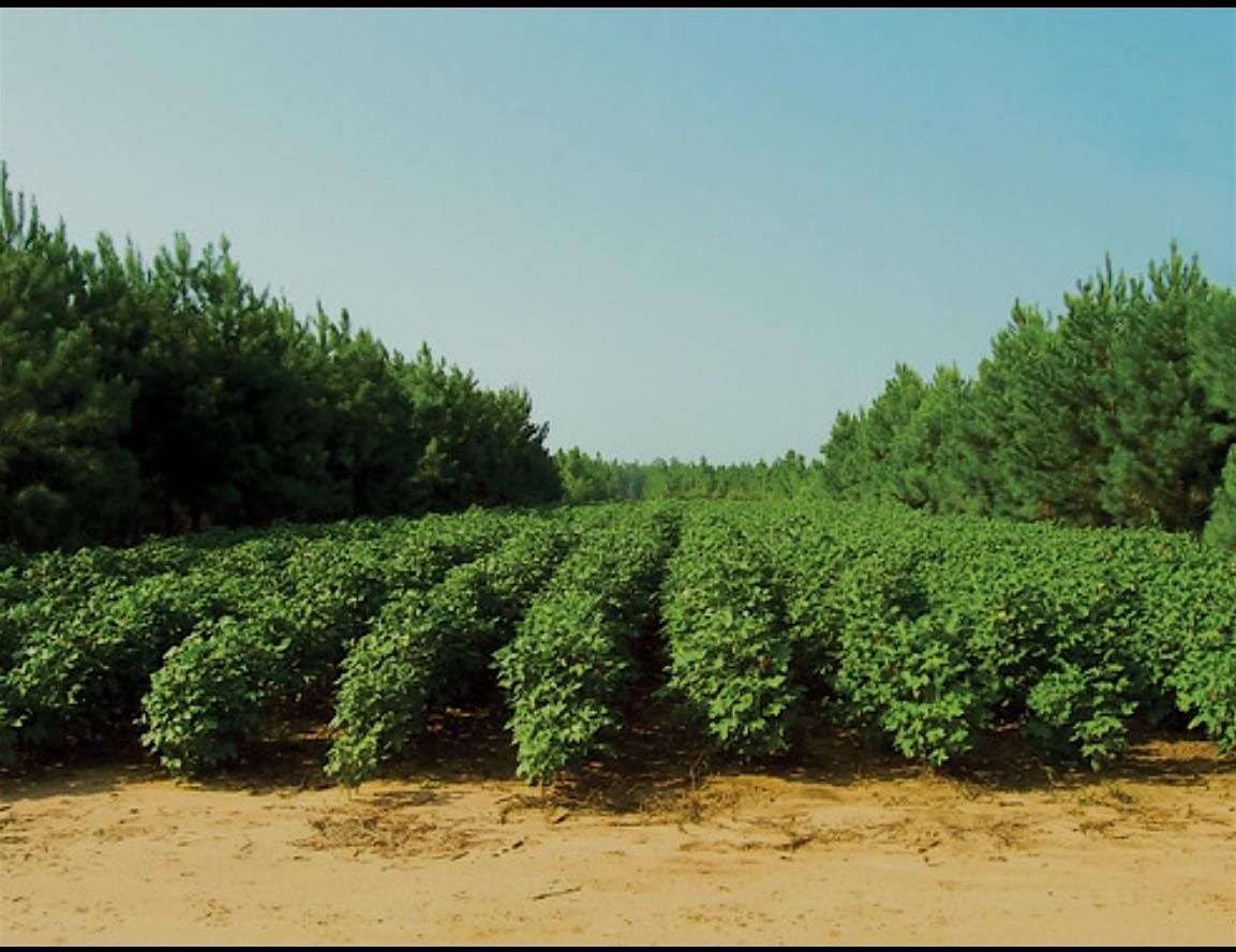 Fannie Lou Hamer Landowner Summit & Agriculture-Forestry Field Day, 6 June | Event in Winona | AllEvents