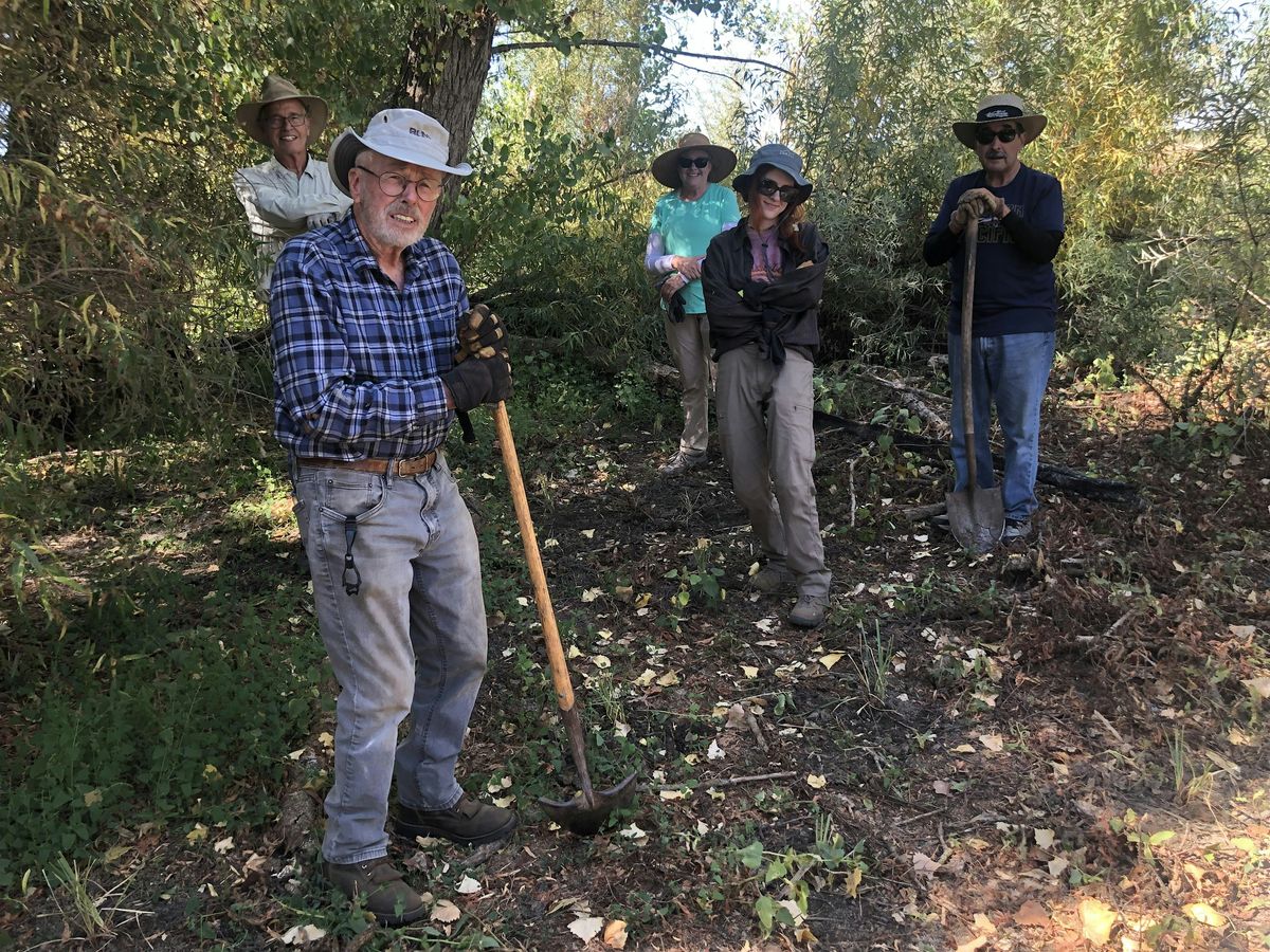 Wildland W**d Management Workday, 2 May | Event in Walnut Grove | AllEvents