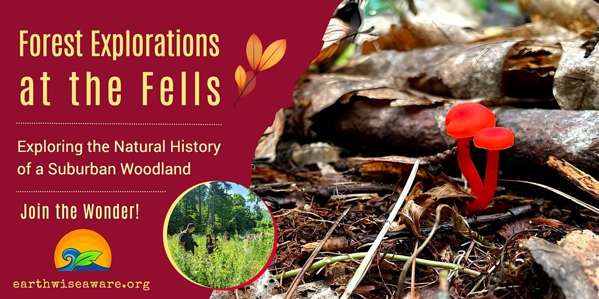 Fall Forest Explorations, 27 September | Event in Stoneham | AllEvents