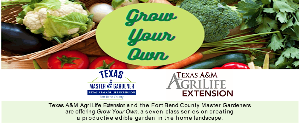 Grow Your Own - Seed Starting and Propagation, 18 April | Event in Rosenberg | AllEvents