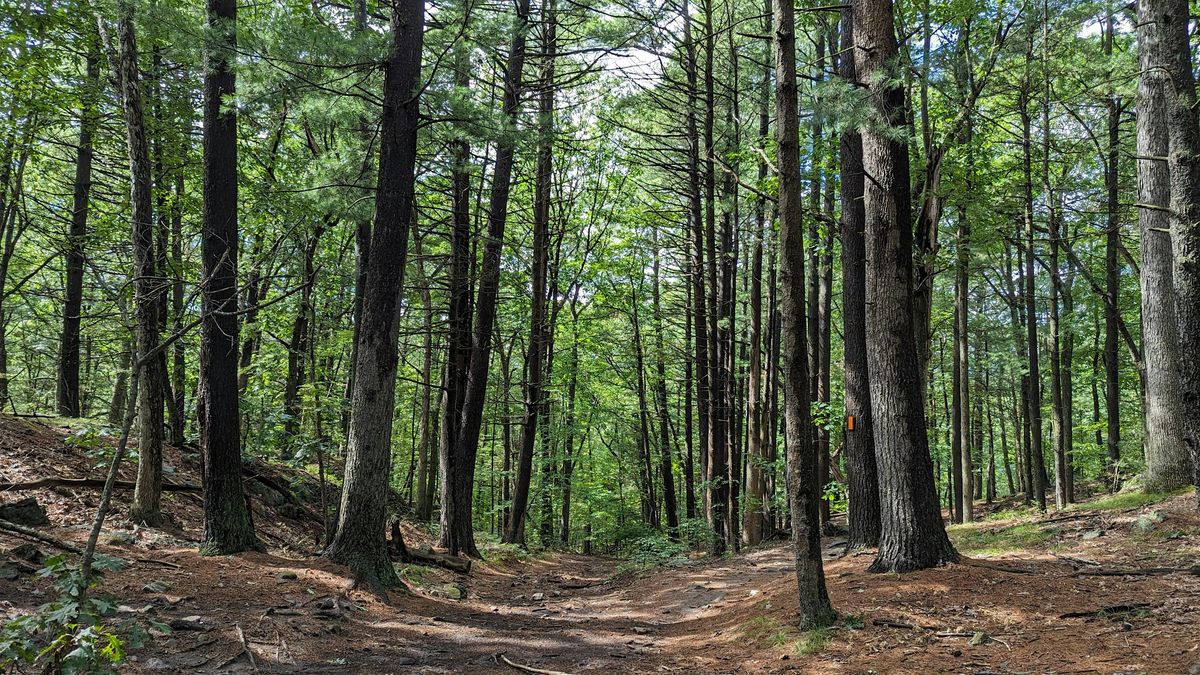 Fall Stroll in the Fells with Carol and Jeff, 28 October | Event in Winchester | AllEvents