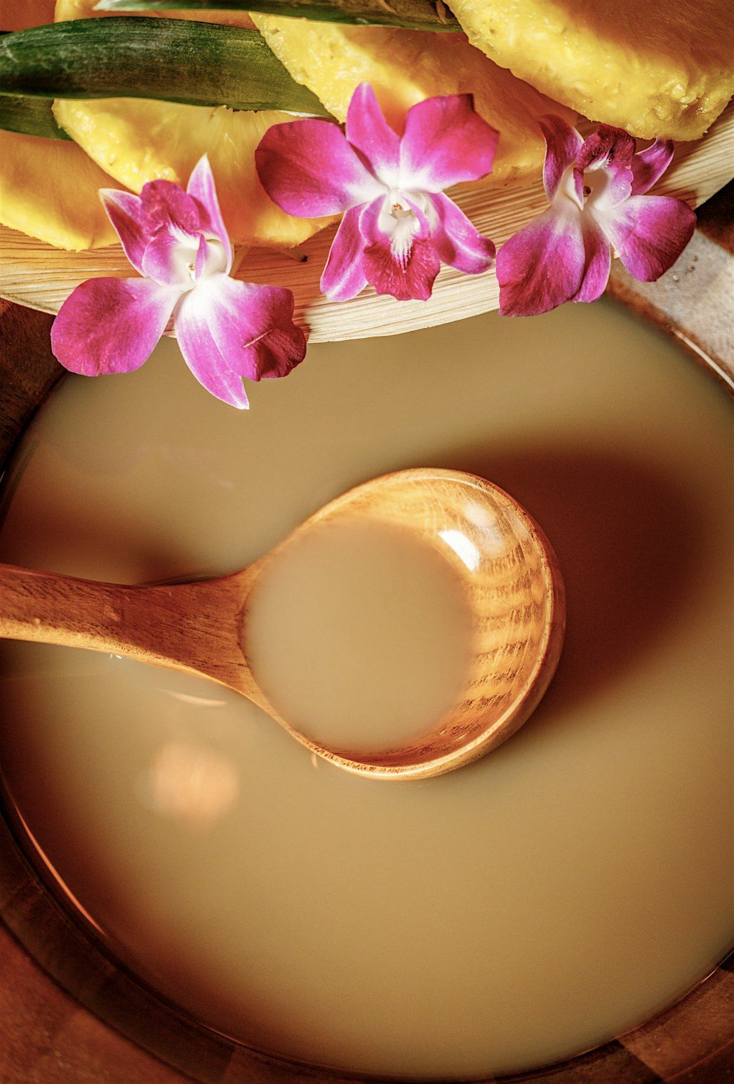 Rooted in Presence - Meditation & Kava Ceremony | Event in North Miami | AllEvents