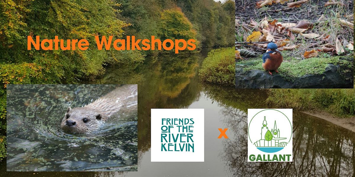 Nature Walk - Otters and Kingfishers with FORK and GALLANT, 27 November | Event in Glasgow | AllEvents