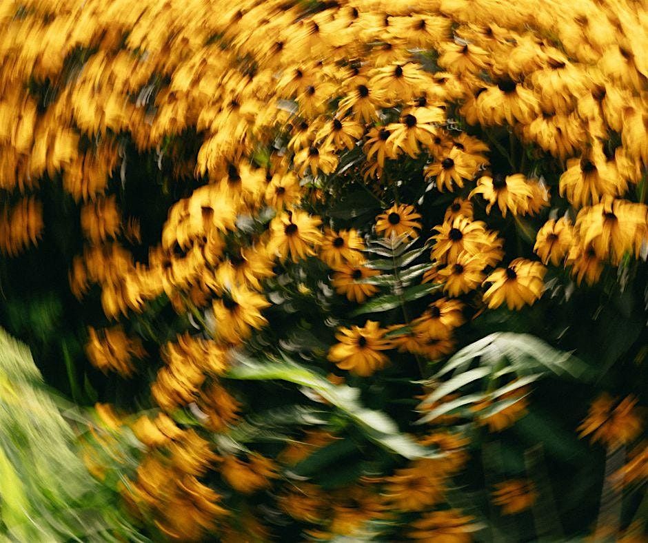 Seed and a Sonrise:  From Eden to Eternity, 5 December | Event in Hosford | AllEvents