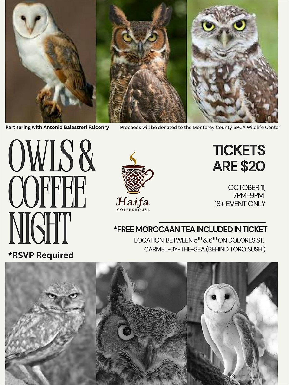 Owl & Coffee Night – An Educational Evening with Local Owls, 11 October | Event in Carmel-by-the-Sea