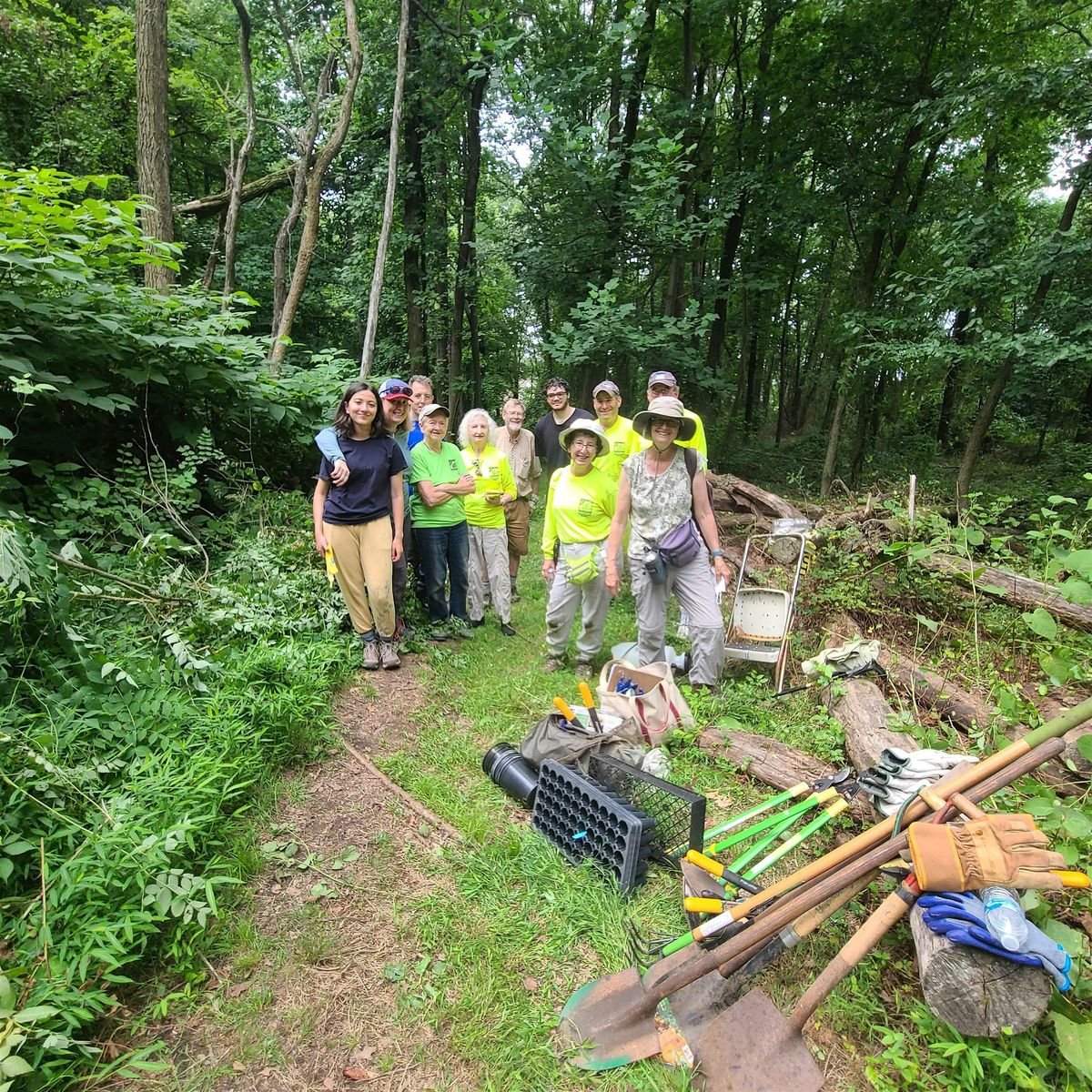 Forest Restoration Workshop  Saturday, Aug. 16, 10:00 a.m. to 12:00 noon, 16 August | Event in Staten Island