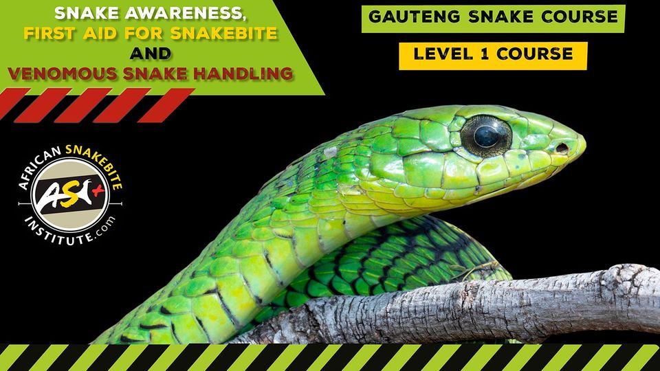 Snake Awareness First aid for Snakebite, Venomous Snake Handling ...