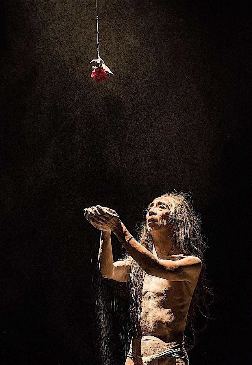 Life of Flower- Butoh Workshop Student Performance, 2 November | Event in Asheville | AllEvents