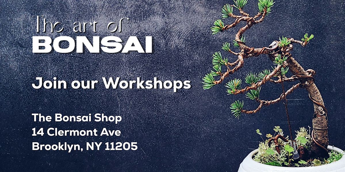 BYOBonsai Pruning and Wiring Class, 11/23, 23 November | Event in Brooklyn | AllEvents
