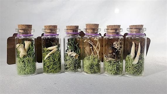 Beetles and Bones Oddities Bottles, 28 May | Event in Newmarket | AllEvents