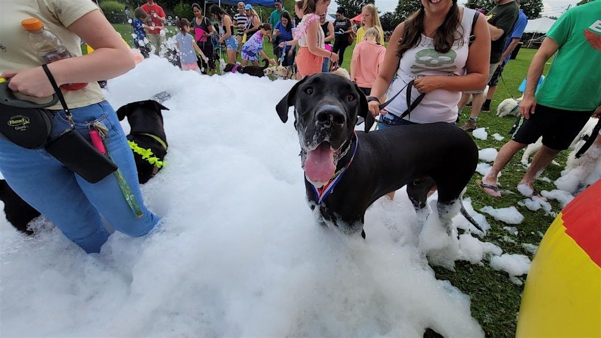 Pupstock ™  Festival: NJ's Best family-friendly dog festival, 23 August | Event in Frankford | AllEvents