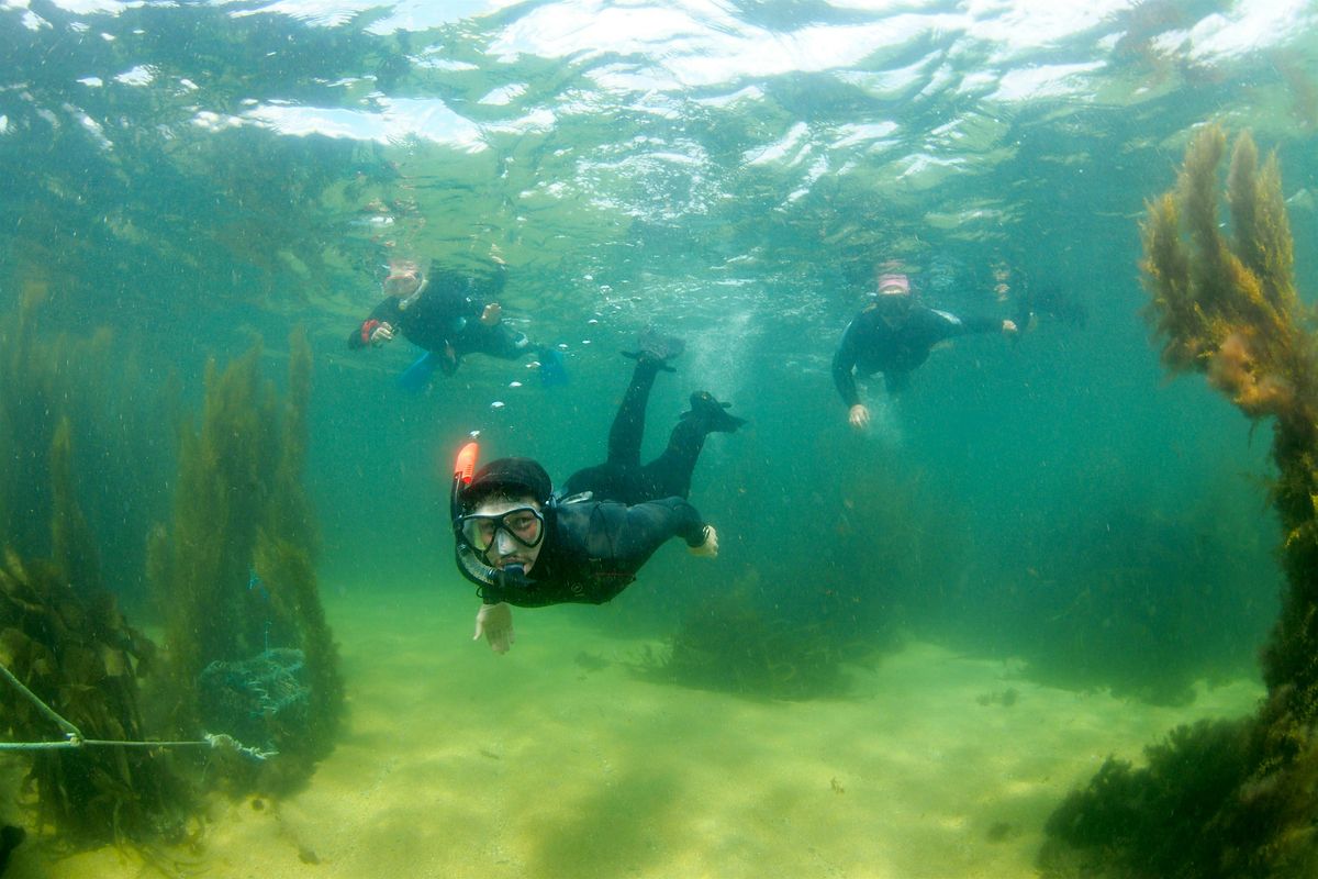 Marine Recorders Evening 2025, 20 November | Event in Bodmin | AllEvents