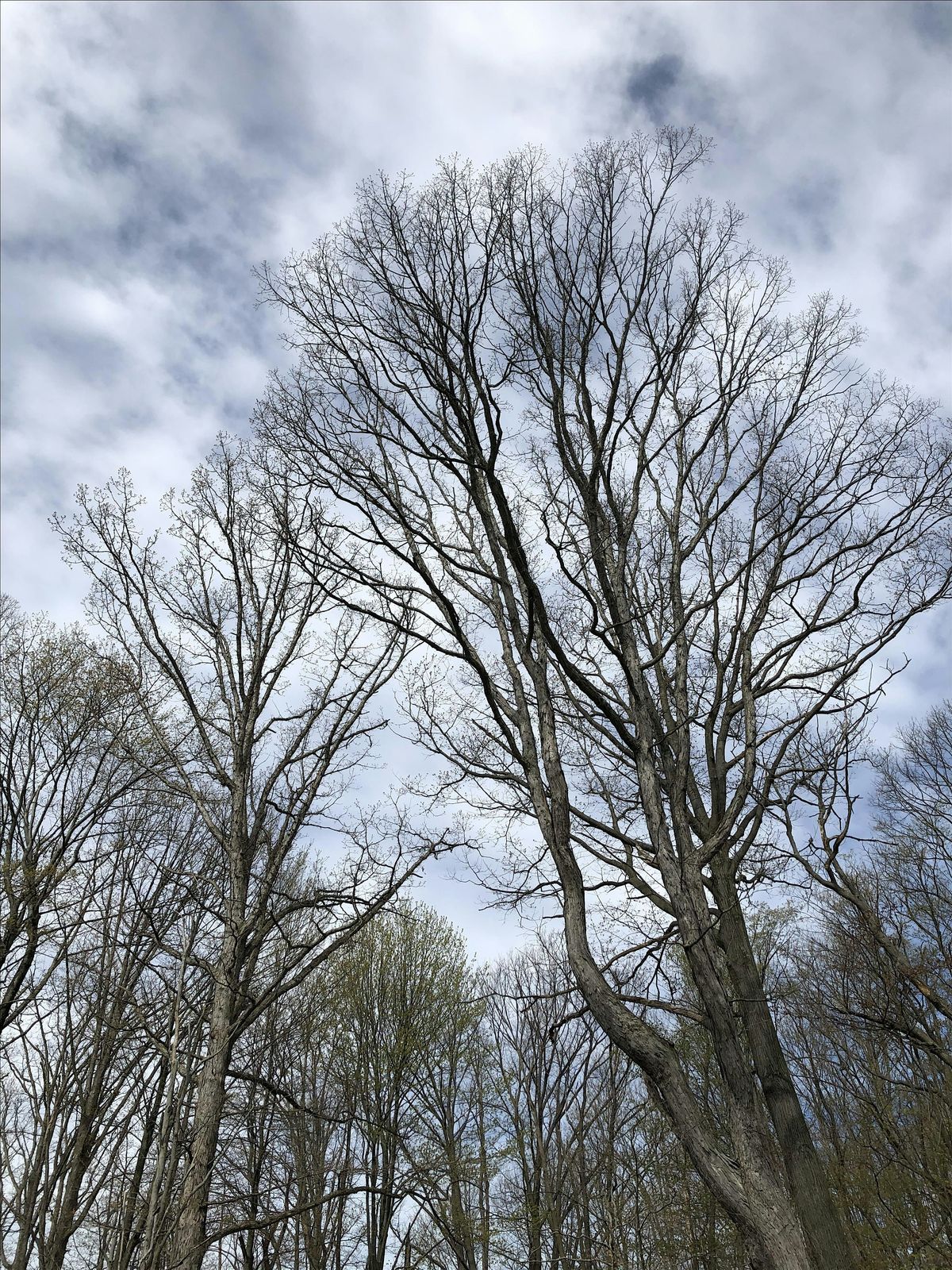 CRC Winter Chapter Hike -- Little Light Challenge, 21 December | Event in Painesville | AllEvents