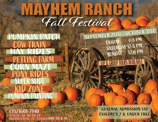 Festivals In Morriston Culture Nightlife Celebrations Events Of Morriston Fall Festivals 2022 Near Me This Weekend