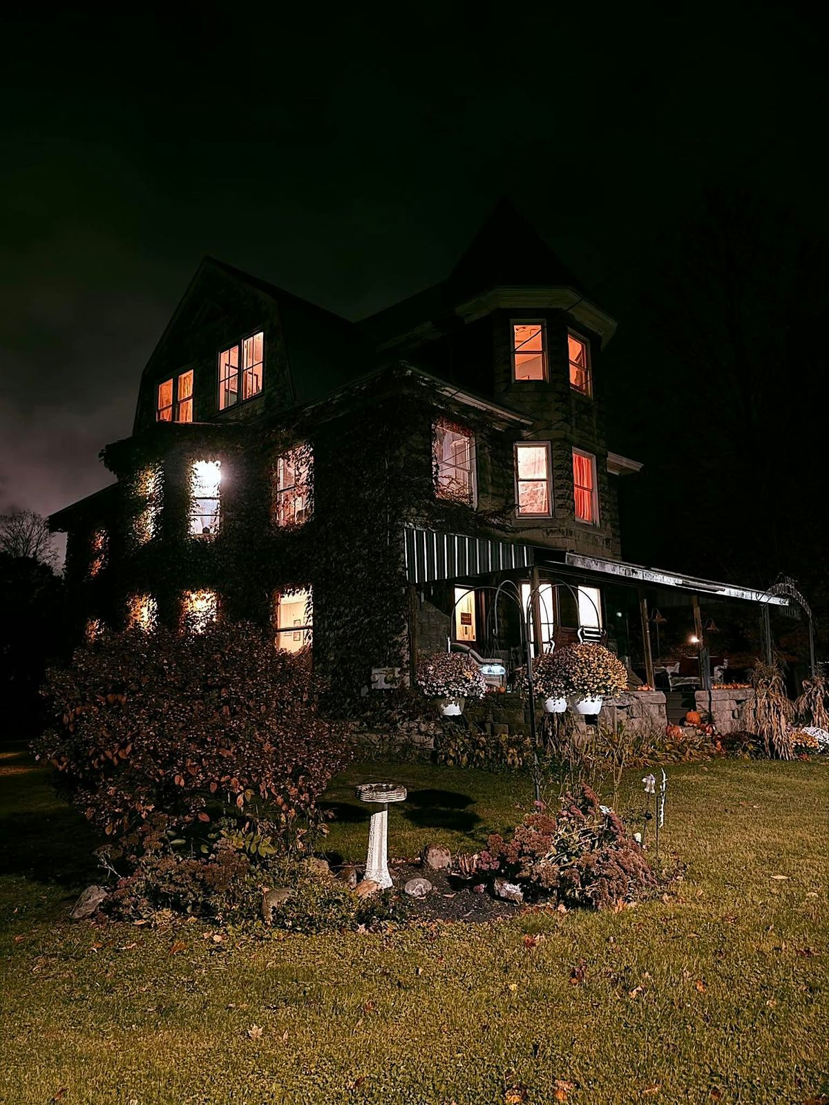 Wildwood Sanatorium Overnight, 3 January | Event in Salamanca | AllEvents