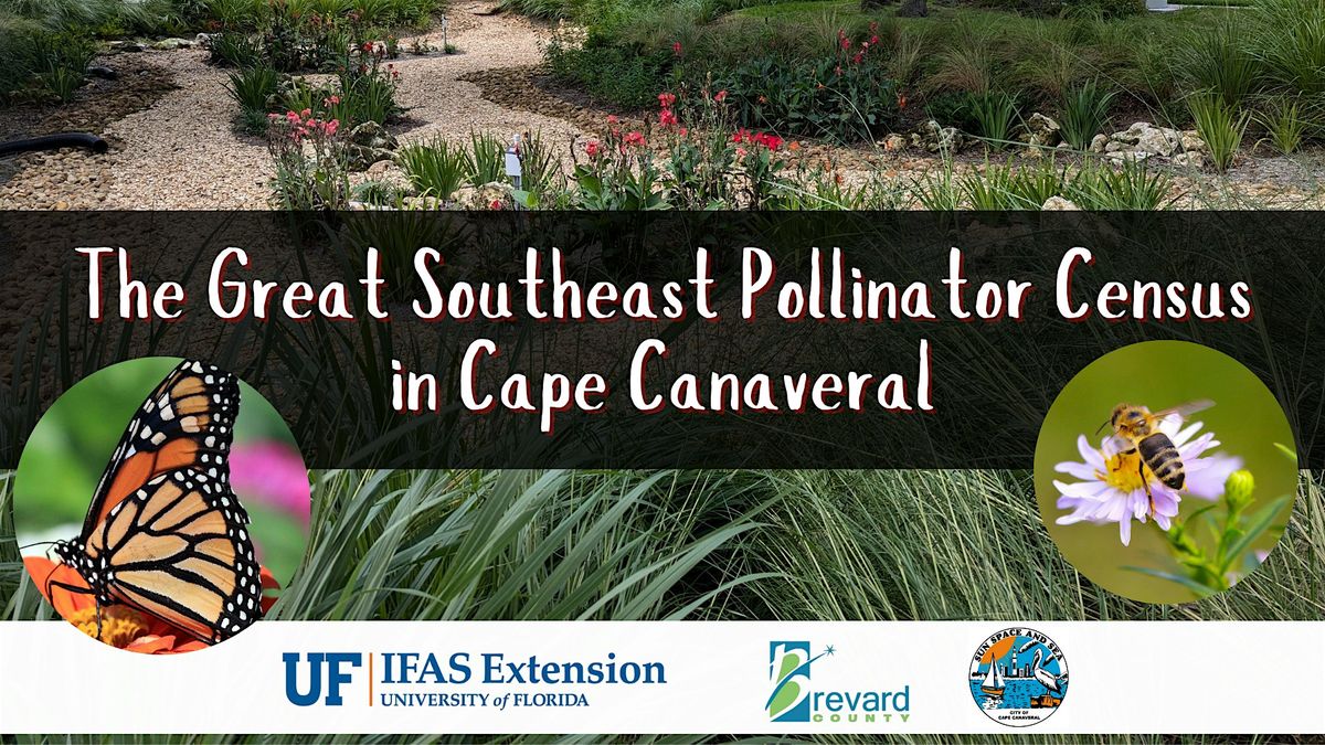 The Great Southeast Pollinator Census in Cape Canaveral, 22 August | Event in Cape Canaveral | AllEvents