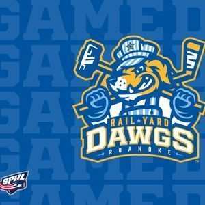 Fayetteville Marksmen at Roanoke Rail Yard Dawgs at Berglund Center Coliseum