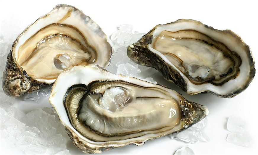 Mimslyn Inn Annual Oysterfest, 15 November | Event in Luray | AllEvents
