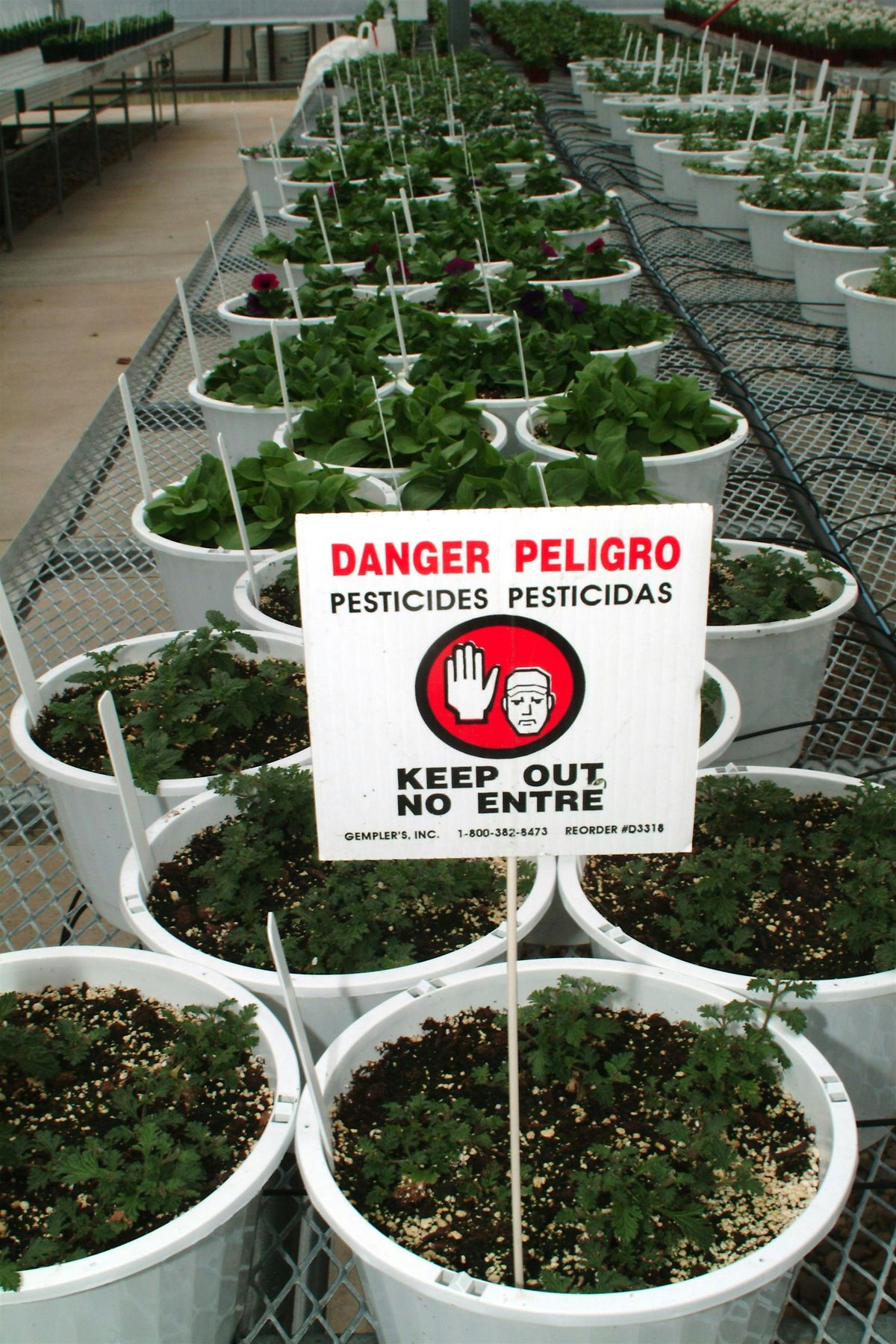 General Standards Pesticide Core Exam Prep. Training, 16 July | Event in Bartow | AllEvents