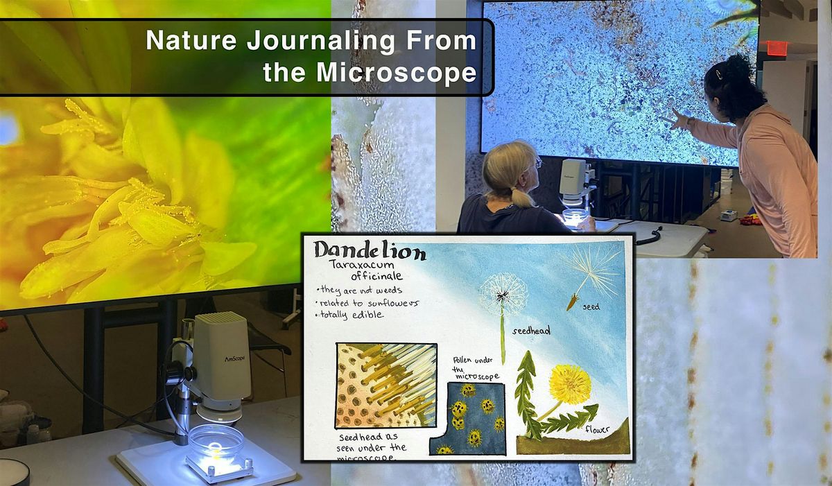 Nature Journaling with Microscopes, 9 October | Event in LONG ISLAND CITY | AllEvents