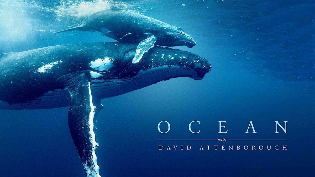 The Little Green Cinema presents David Attenborough's 'Ocean' with Q&A, 15 November | Event in Seaford