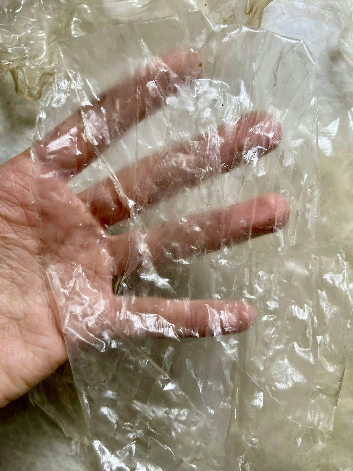 Make your Own Bio-Plastic Workshop, 26 October | Event in Brooklyn | AllEvents