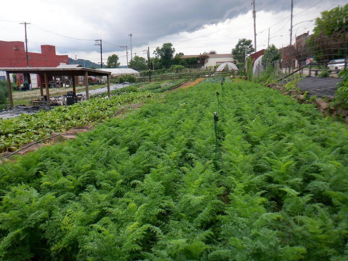 Irrigating Your Garden, 6 May | Event in Pittsburgh | AllEvents