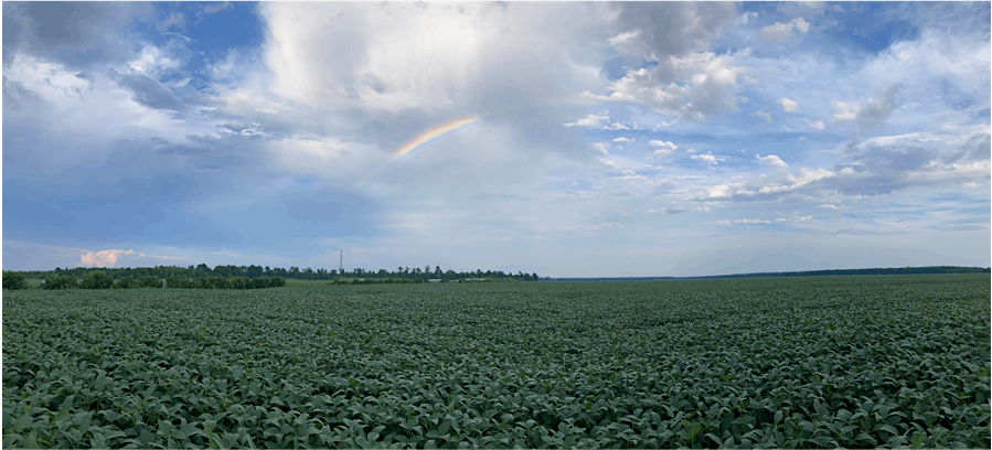 2025 Bertie County Summer Private Applicator Safety "V" Training, 9 June | Event in Windsor | AllEvents
