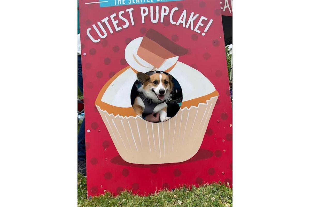 Old Dog Haven Pups on Parade, 12 July | Event in Shoreline | AllEvents