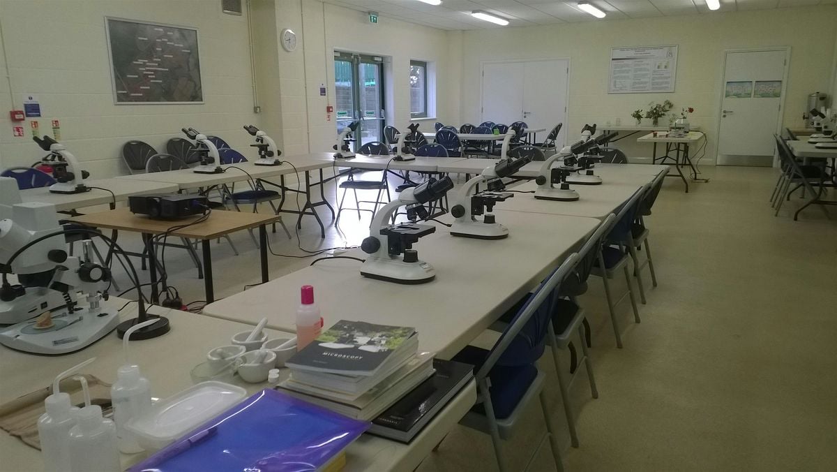 Microscopy for Beekeepers | Event in Cirencester | AllEvents
