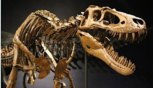 Dino Days - Day #1, Friday, June 6th, 1:00 pm-4:00 pm | Event in Rockford | AllEvents