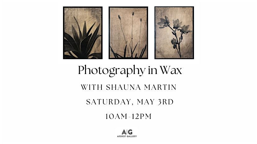 Photography in Wax! Workshop with Shauna Martin | Event in The Woodlands | AllEvents