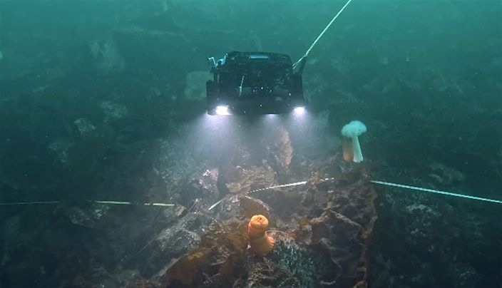 Guest Speaker: Dr. Zachary Randell-  ROV Surveys within Kelp Forests, 13 December | Event in Mount Vernon