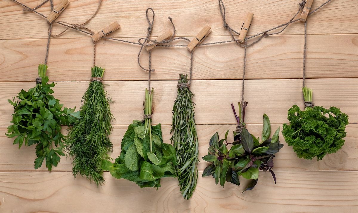 Herb Tying and Drying Workshop at Redhill Park | Event in Bournemouth | AllEvents