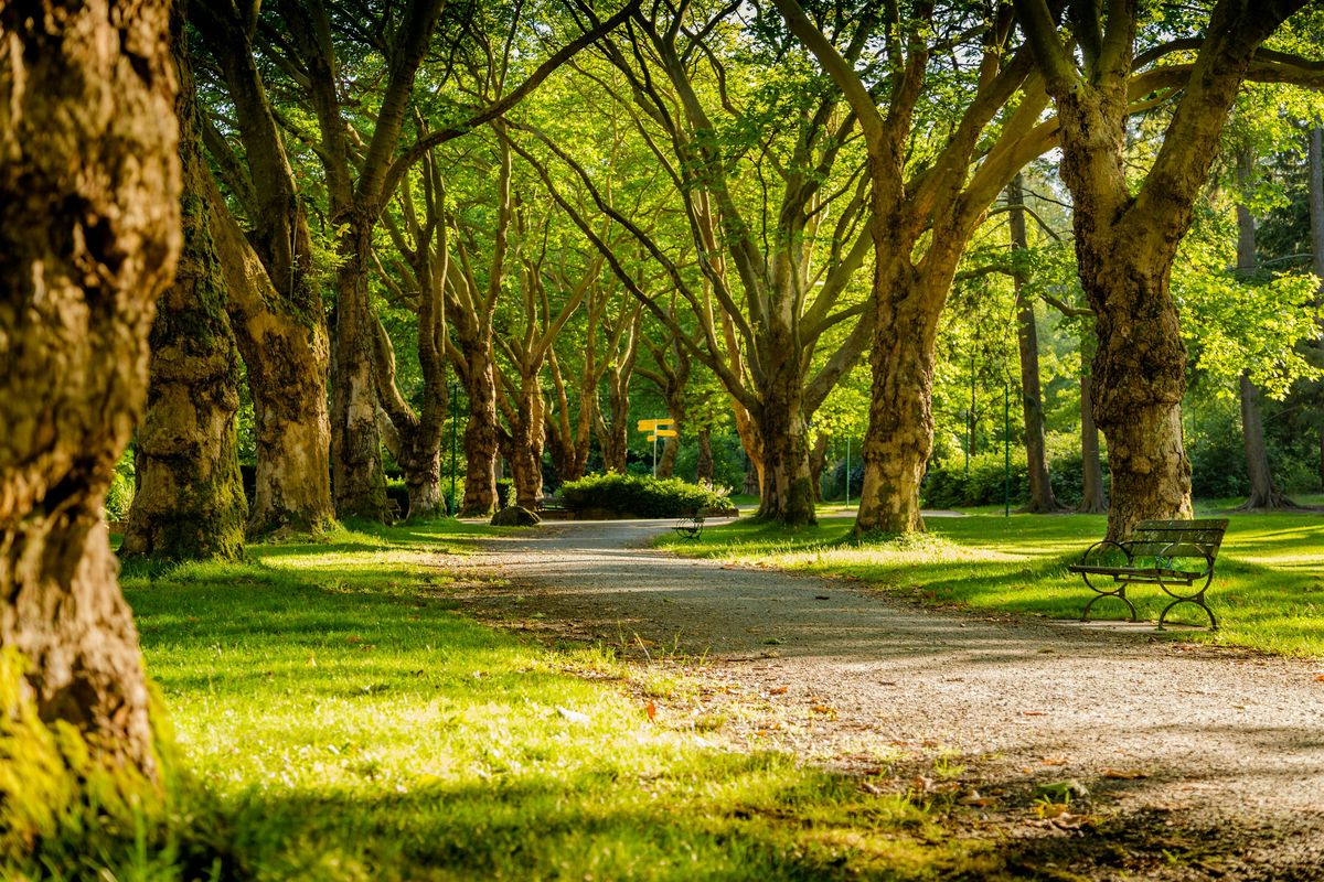 Qigong in the Park | Event in East Providence | AllEvents