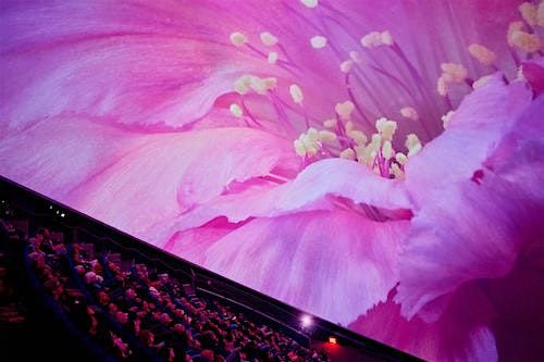 QUALIA at Fiske, Boulder, 11 May | Event in Boulder | AllEvents