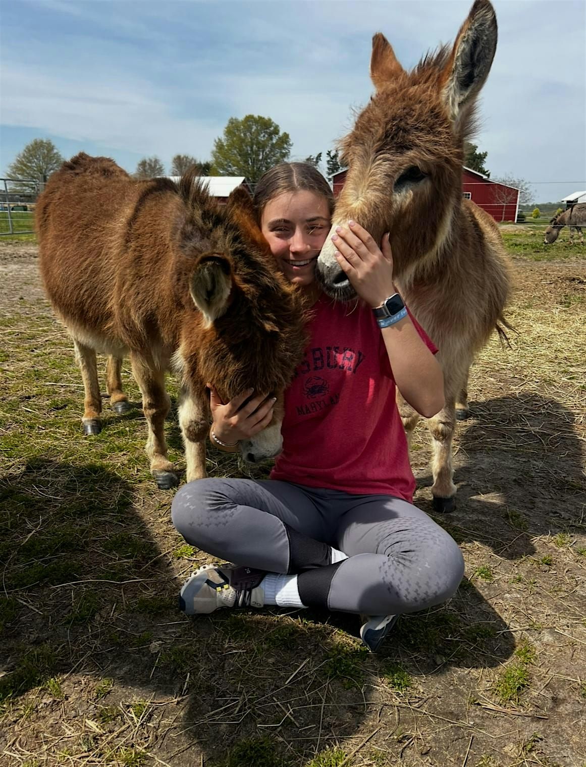 Donkey Cuddling: A Heartfelt Experience with Our Gentle Herd, 8 June | Event in Preston | AllEvents