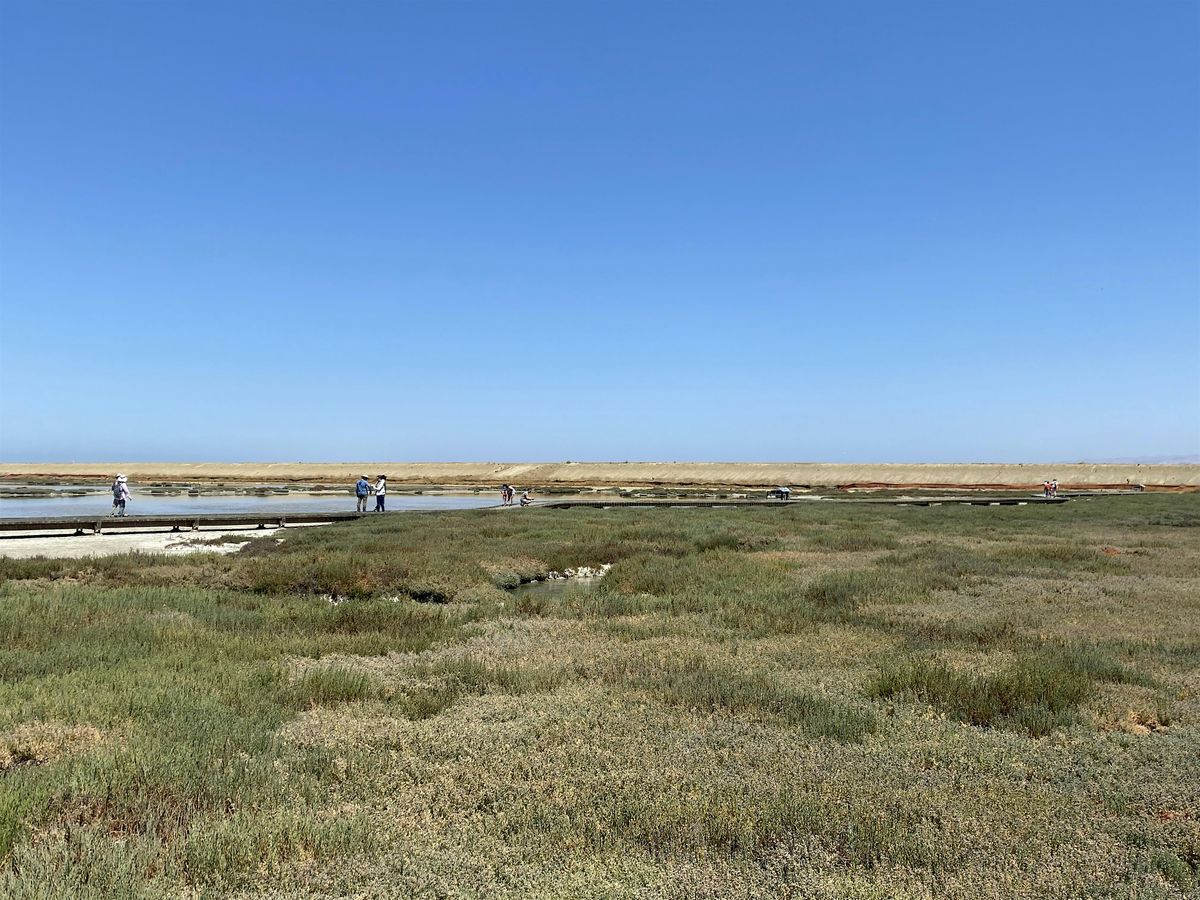 Wetlands: Natural Shields Against Climate Change, 24 August | Event in San Jose | AllEvents