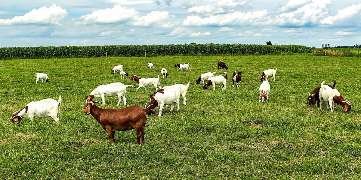 Sheep & Goat FAMACHA© Certification, 23 September | Event in Pittsboro | AllEvents