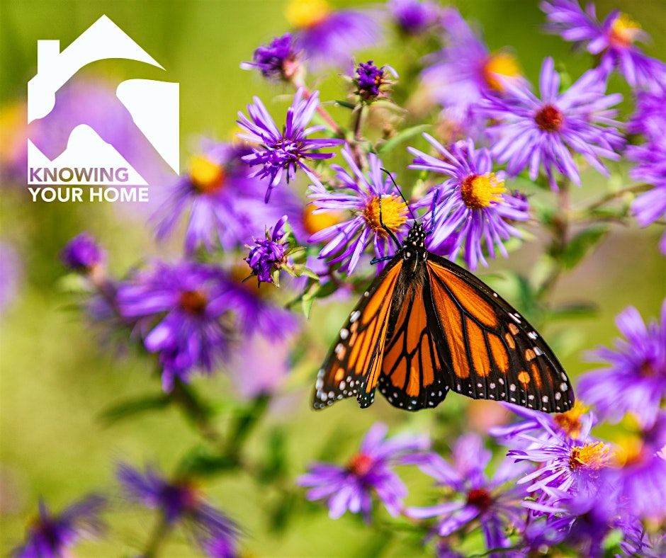 Knowing Your Home: Pollinator Gardens, 31 May | Event in Lakewood | AllEvents