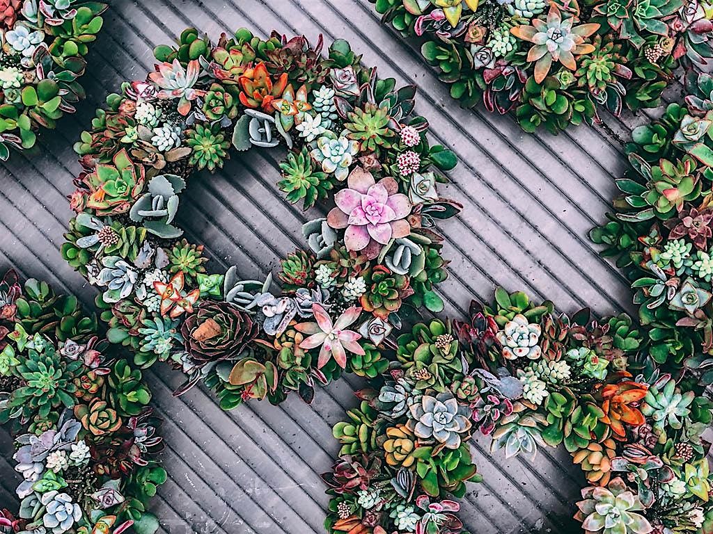 Holiday Wreath Making Workshop Friday, 5 December | Event in Tucson | AllEvents