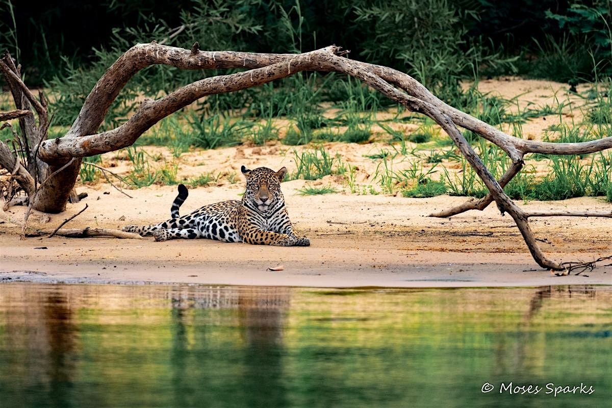 Take a Virtual Safari Around the World!, 17 May | Event in Wrightwood | AllEvents