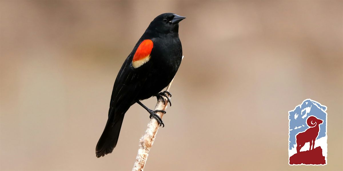 Mindfulness & Birding in Rocky Mountain National Park, 16 September | Event in Estes Park | AllEvents