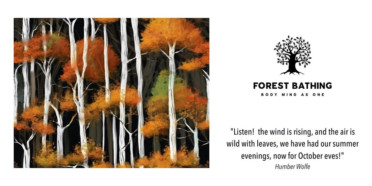 Autumn Forest Bathing, 22 October | Event in Hadleigh | AllEvents