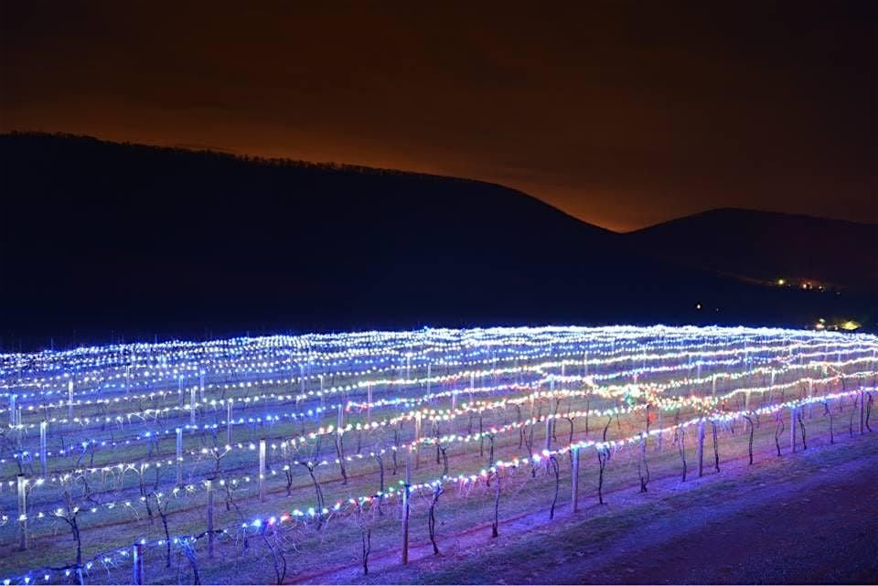 2025 Annual Lighting of the Vineyard Christmas Event (Saturday), 29 November | Event in Klingerstown | AllEvents